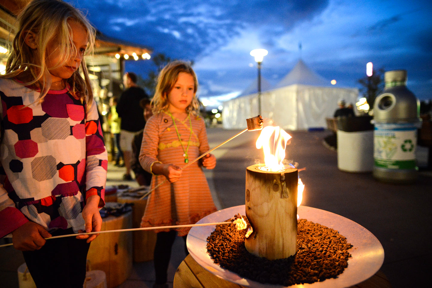 kids roasting marshmallows next to a onelogfire