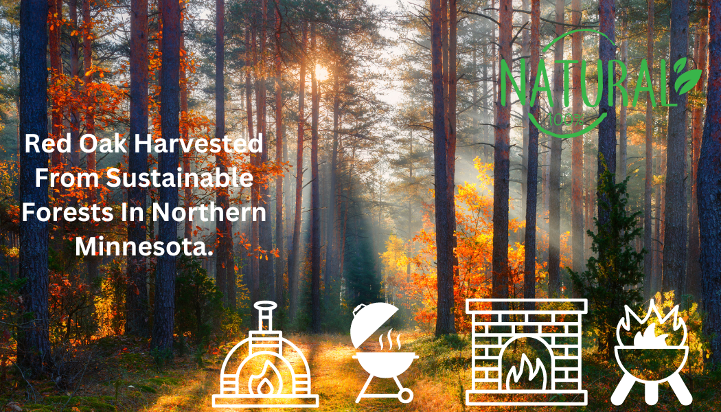firewood information poster